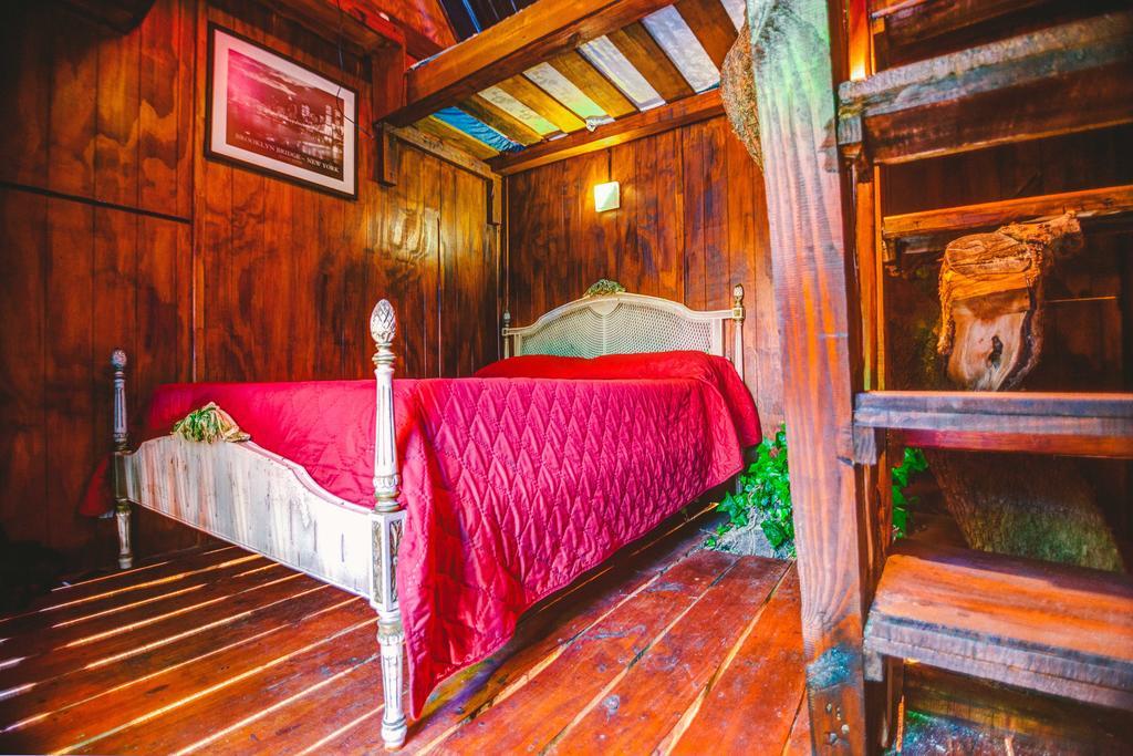 F&F Hostel Punta del Este Room photo