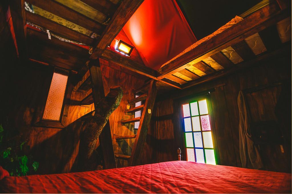 F&F Hostel Punta del Este Room photo